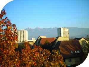 T2 Ile verte